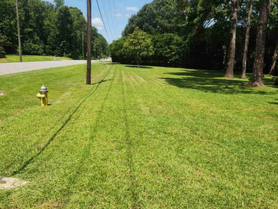 Lawn Care service in Albany, 31701