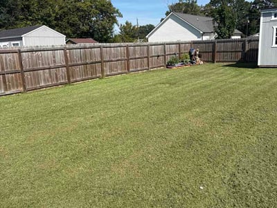 Lawn Care service in Piedmont Triad, 27523