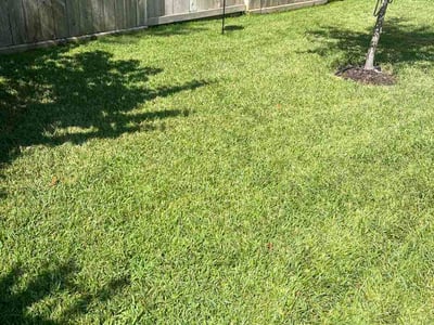 Lawn Care service in Oregon City, 97045