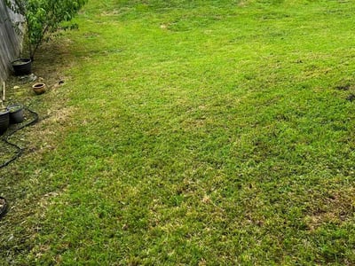 Lawn Care service in La Mesa, 91942