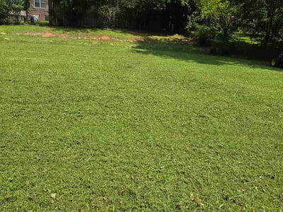 Lawn Care service in Laurens, 29360