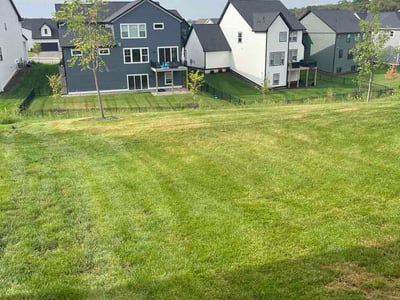 Lawn Care service in Chaska, 55318
