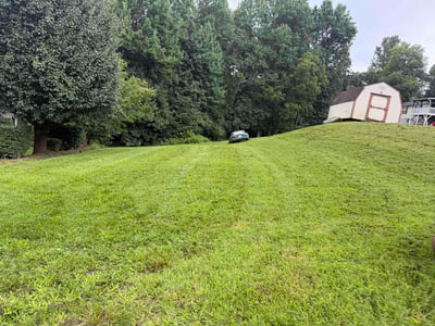 Lawn Care service in Candler, 28715