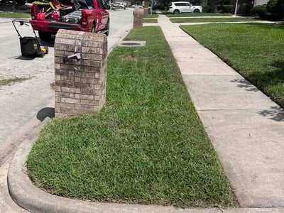 Lawn Care service in Spring, 77373