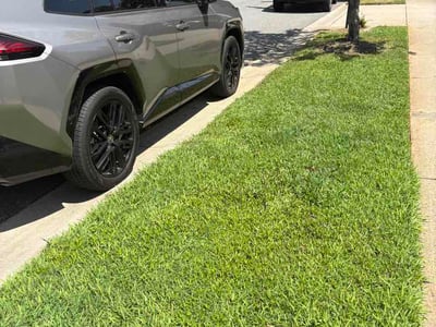 Lawn Care service in Mooresville, 28115