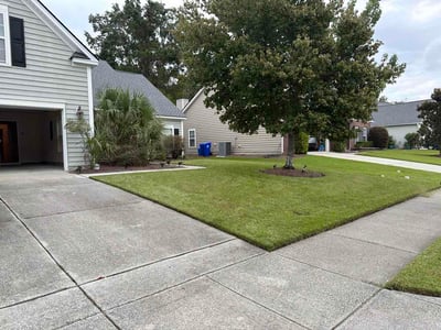 Lawn Care service in Johns Island, 29455