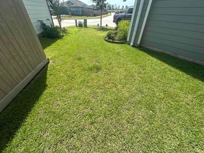 Lawn Care service in Mission, 78572