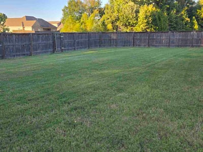 Lawn Care service in ,