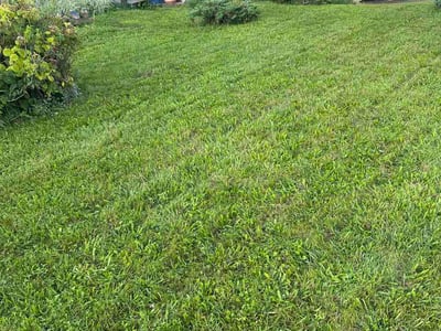 Lawn Care service in Carnegie, 15106