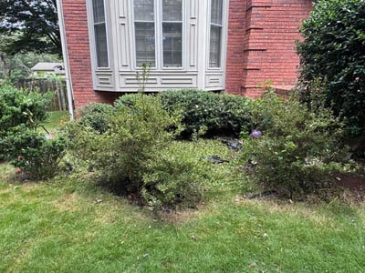 Lawn Care service in Pacific Beach, 92109