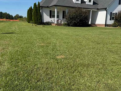Lawn Care service in Kenly, 27542