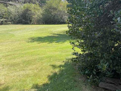 Lawn Care service in Anderson, 29624