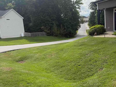 Lawn Care service in Youngsville, 27596