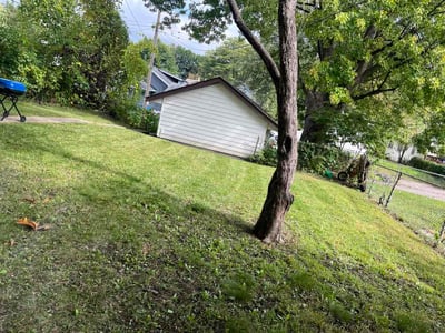 Lawn Care service in Champlin, 55316