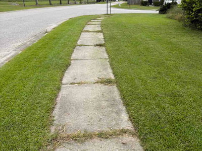 Lawn Care service in Shallotte, 28470
