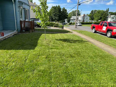 Lawn Care service in Syracuse, 13202