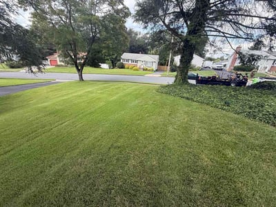 Lawn Care service in Brookhaven, 19015