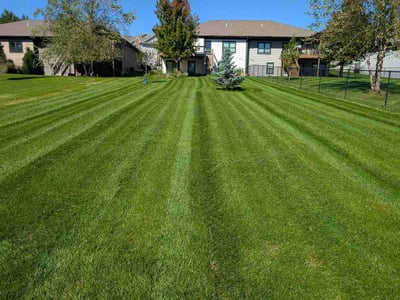 Lawn Care service in ,