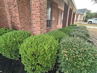 Lawn Care service in Tomball, 77375