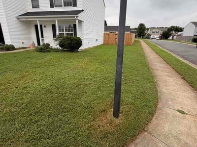 Lawn Care service in Cornelius, 28031
