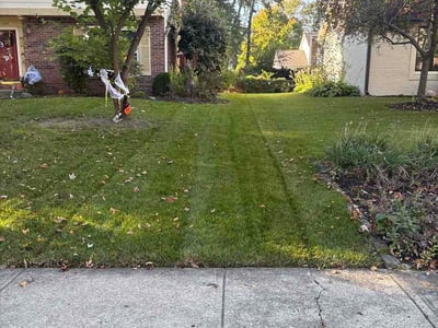 Lawn Care service in Carmel, 46032