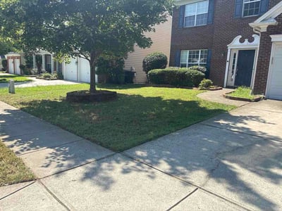 Lawn Care service in Cornelius, 28031