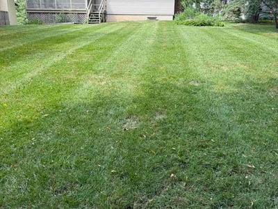 Lawn Care service in Iowa City, 52240