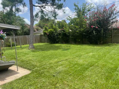 Lawn Care service in Tomball, 77375