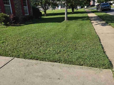 Lawn Care service in Bessemer City, 28016