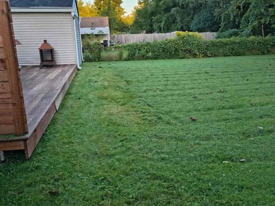 Lawn Care service in Henrietta, 14467