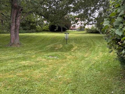 Lawn Care service in Henrietta, 14467
