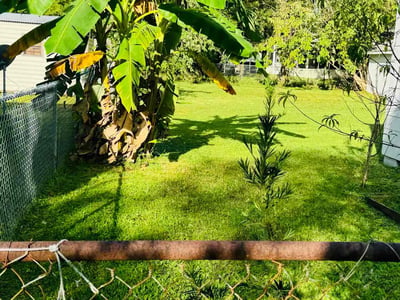 Lawn Care service in Shelton, 06484