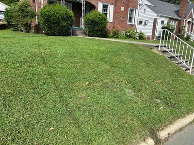 Lawn Care service in Burlington, 27215