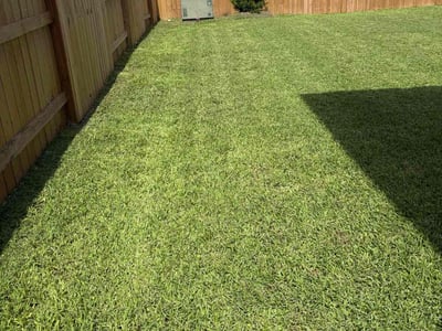 Lawn Care service in Montgomery, 77316