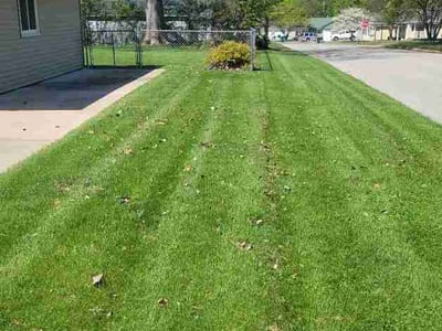 Lawn Care service in Bloomington, 61701