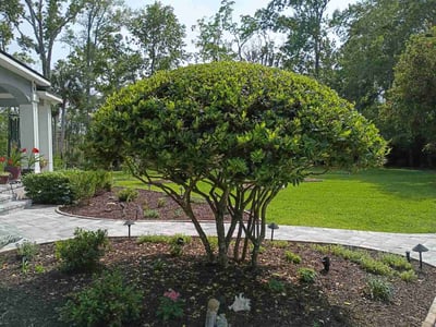 Lawn Care service in Satellite Beach, 32937