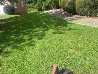 Lawn Care service in Wichita Falls, 76301