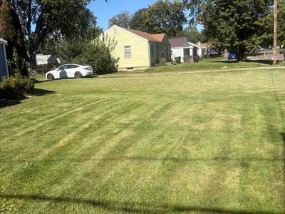 Lawn Care service in Ottawa, 61350