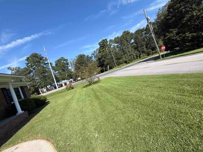Lawn Care service in Ladson, 29456