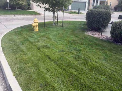 Lawn Care service in Peyton, 80831