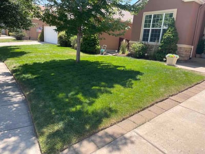 Lawn Care service in Peyton, 80831