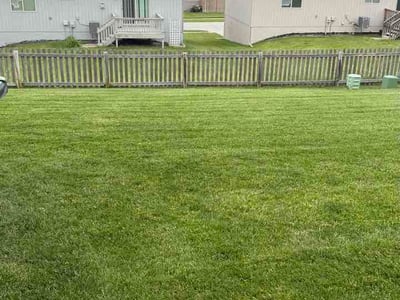 Lawn Care service in Kaysville, 84037