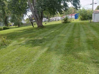 Lawn Care service in Elkhart, 46516