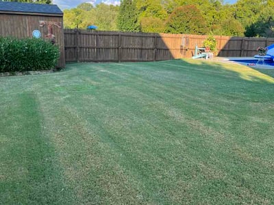 Lawn Care service in Spring Hill, 37174