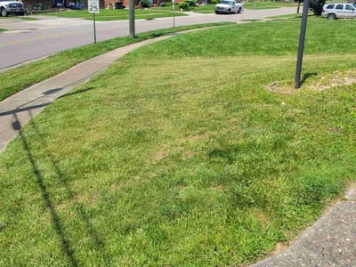 Lawn Care service in Dormont, 15216