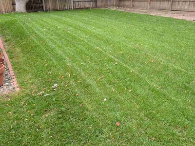 Lawn Care service in Aurora, 80011