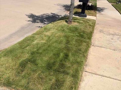 Lawn Care service in Forest Hill, 76140