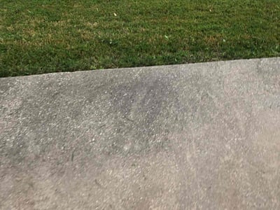 Lawn Care service in Milpitas, 95035