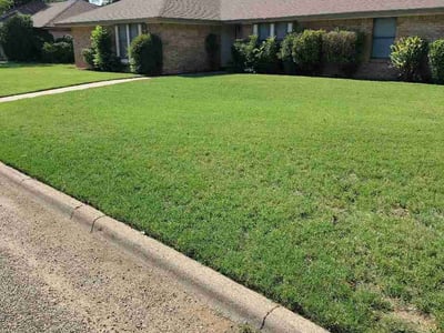 Lawn Care service in Abilene, 79602