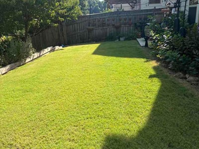 Lawn Care service in West Covina, 91790